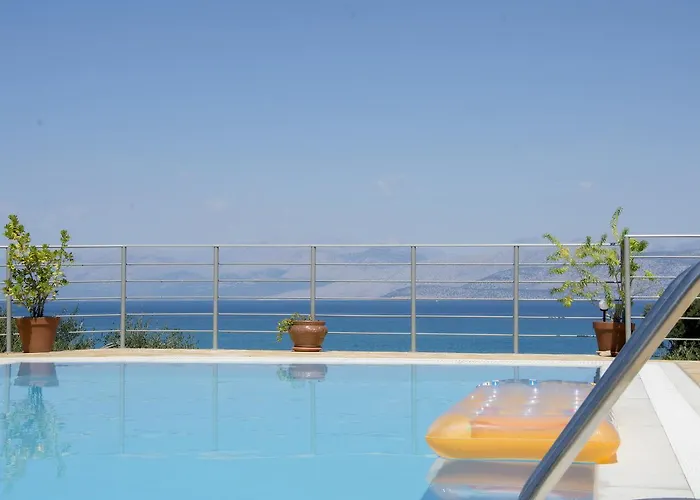 Olive Grove And Sea View